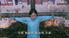 杨幂