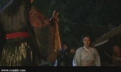 董璇