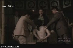 杨了