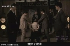 杨了