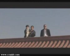 图雅