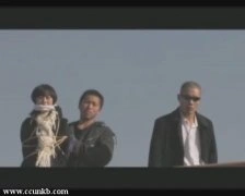 图雅