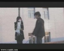图雅