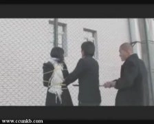 图雅