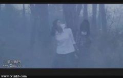 王珂,陈西贝