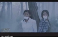 王珂,陈西贝
