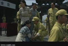 宋佳（小）