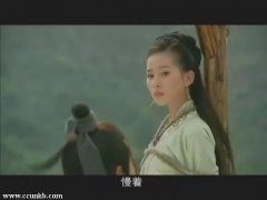 刘诗诗