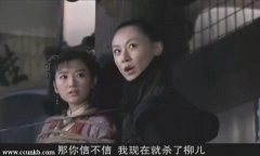 毛晓彤