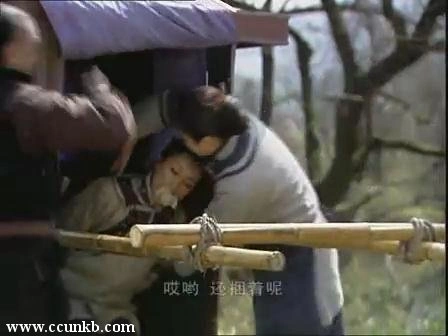 霄珍