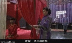 陈数