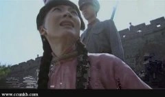 陈数
