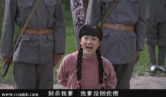陈数