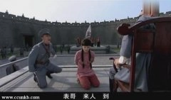 陈数