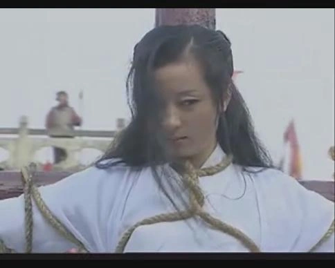 大宋碑歌