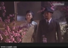张歆艺