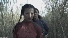 杨雨婷,宁露