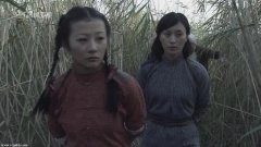 杨雨婷,宁露