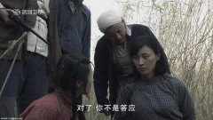 杨雨婷,宁露