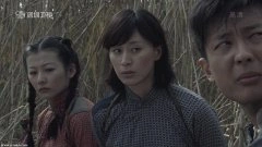 杨雨婷,宁露