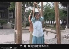 佟丽娅