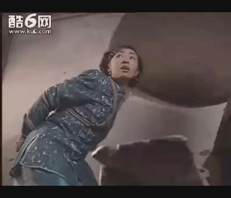 栀子花白兰花