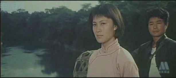 杜鹃声声