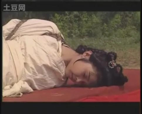 说岳后传