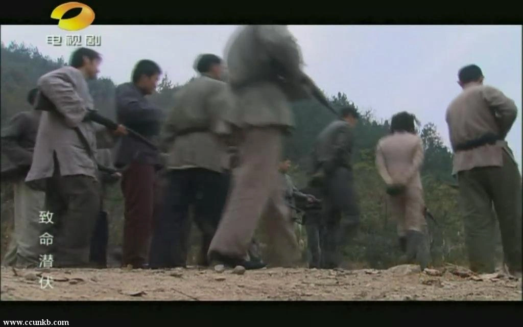 刘涛