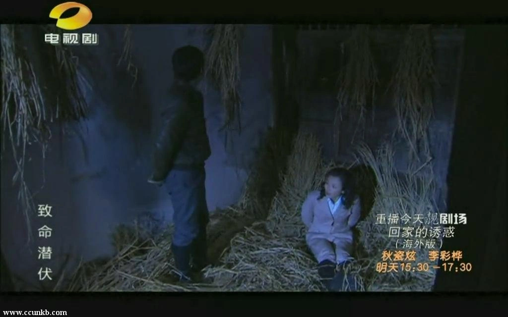 刘涛