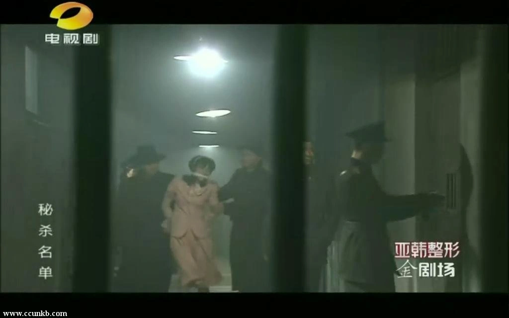 李涛