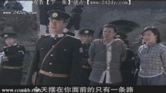 杨雯雯