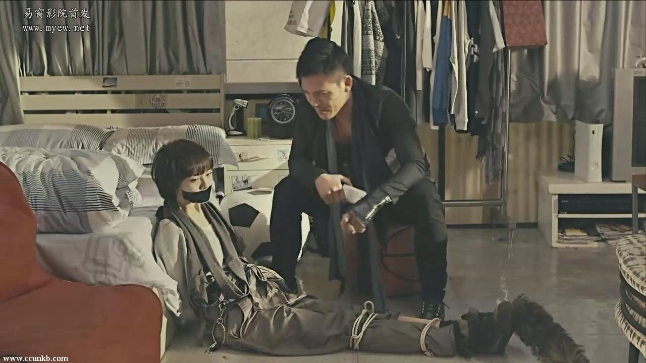 郑爽（小）