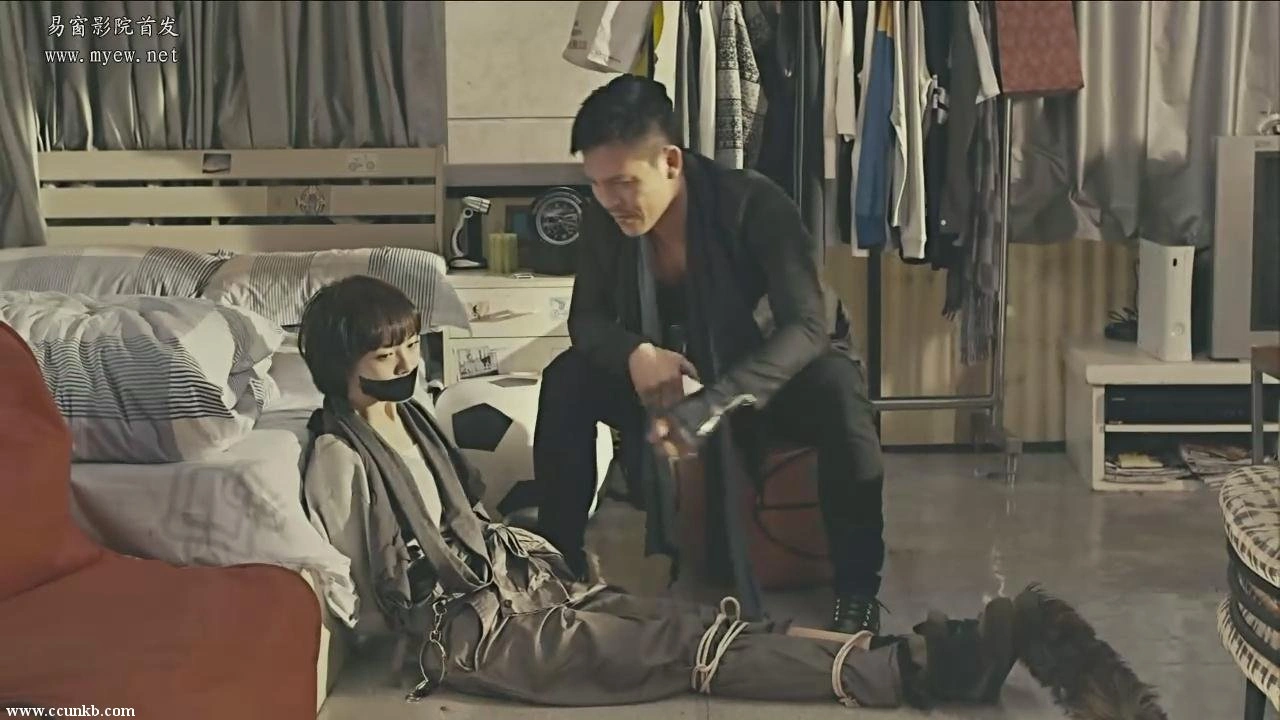 郑爽（小）