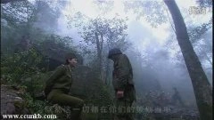 温峥嵘