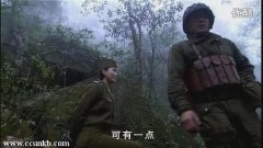 温峥嵘