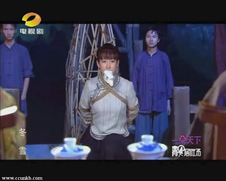 秦海璐