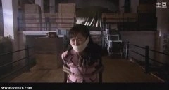 武文佳