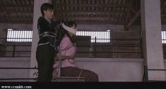 武文佳