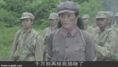 徐百卉*