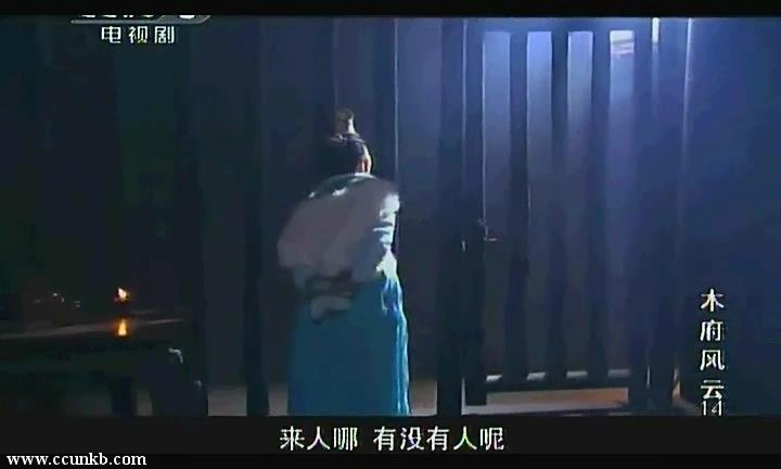 秦雯*