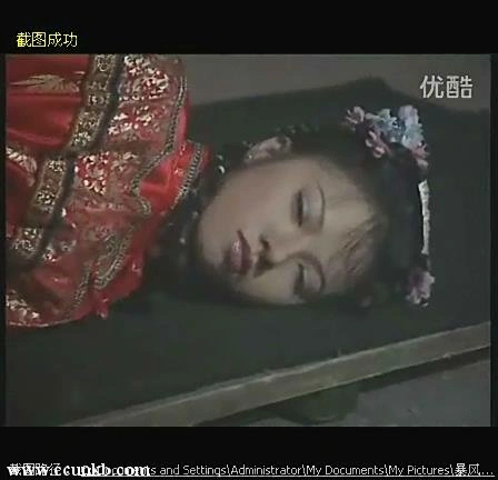 羽彤