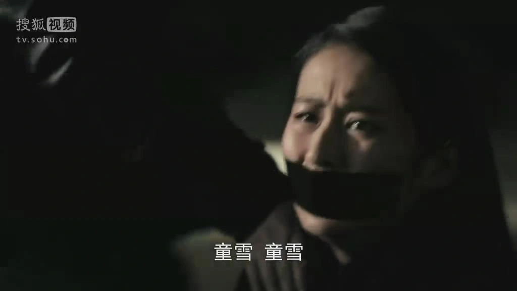千山暮雪续集