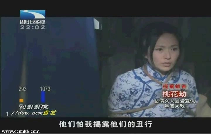 张玉嬿