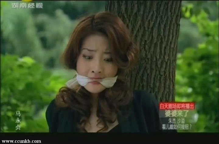 苑艺