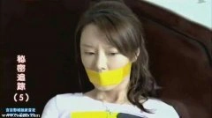 刘海蓝