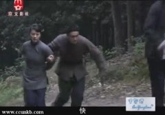 史兰芽