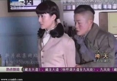 杜雨辰