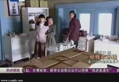 杜雨辰