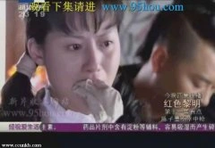 杜雨辰*